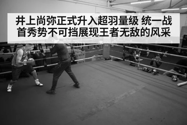 boxer training gym